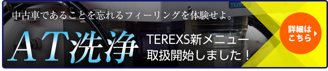 TEREXS AT洗浄メニュー始めました